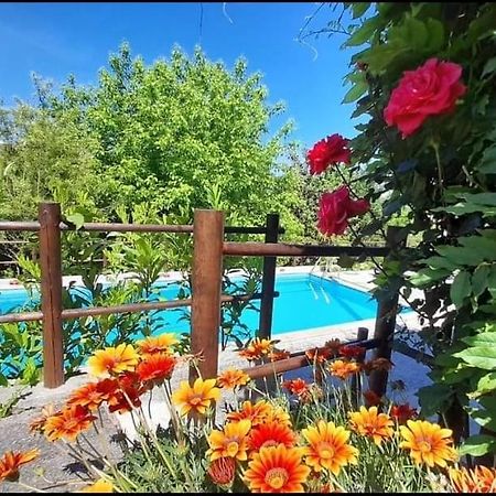 Casa Da Vovo Villa Amarante Dış mekan fotoğraf
