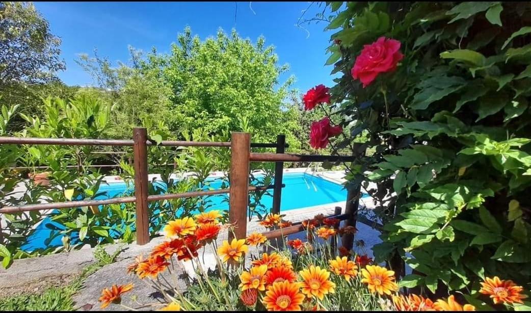 Casa Da Vovo Villa Amarante Dış mekan fotoğraf