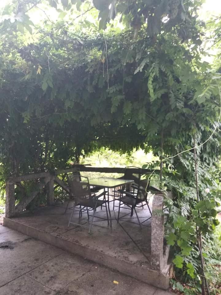 Casa Da Vovo Villa Amarante Oda fotoğraf